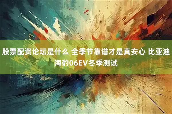 股票配资论坛是什么 全季节靠谱才是真安心 比亚迪海豹06EV冬季测试